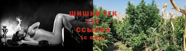 мдпв Аша