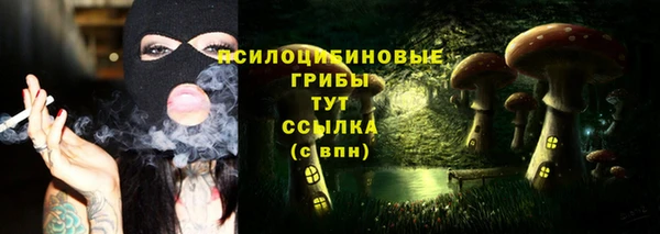 молекула духа Медногорск