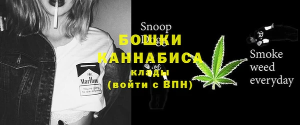мдпв Аша