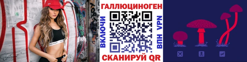 Галлюциногенные грибы Magic Shrooms где можно купить Армавир