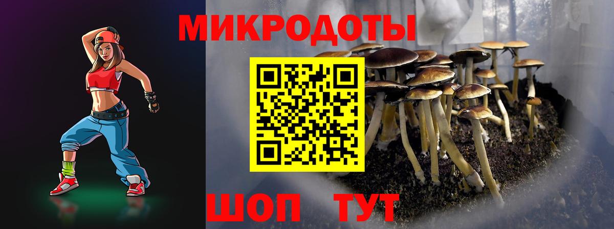 Армавир  Галлюциногенные грибы MAGIC MUSHROOMS  Вход с VPN 